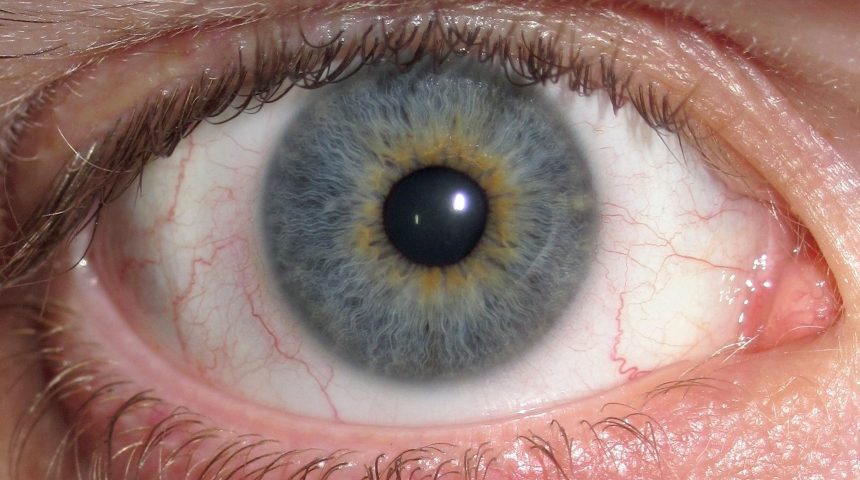 O que você precisa saber sobre doenças da retina