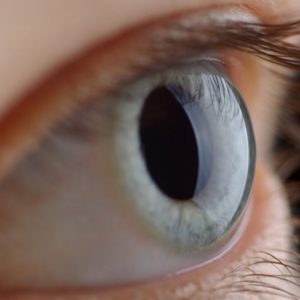 “Impressão de córnea”: novas tecnologias podem recuperar a visão
